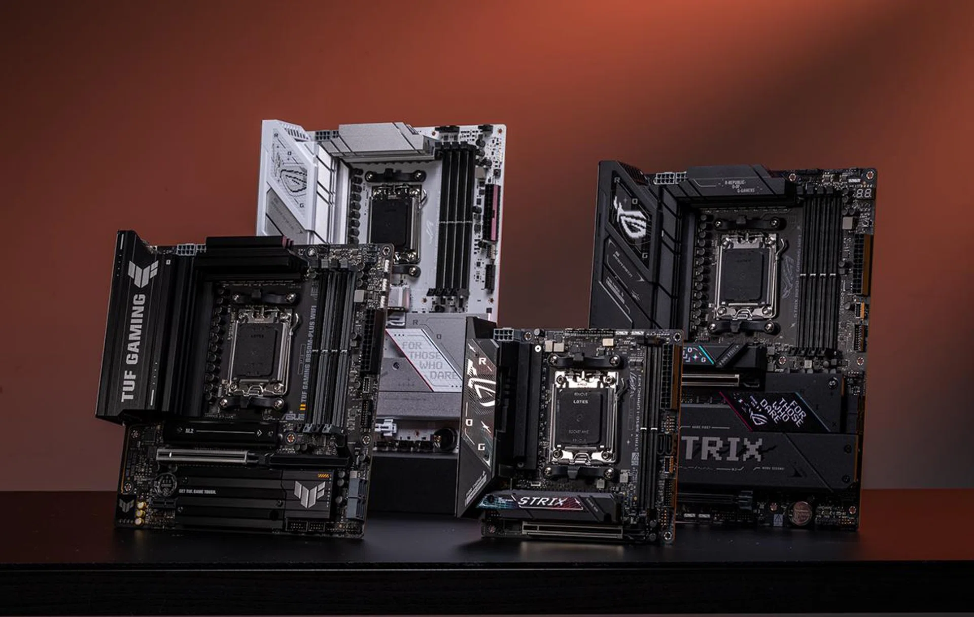 A sample of the ASUS B840 and B850 motherboards. (Image source: ASUS)