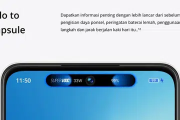 Realme's answer to the Apple Dynamic Island is Mini Capsule.