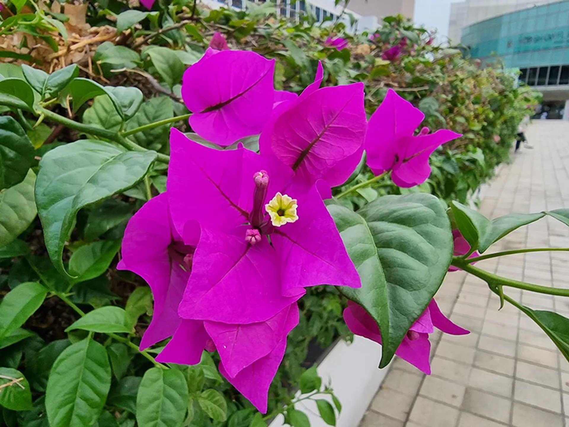 Samsung Galaxy S21 Ultra.