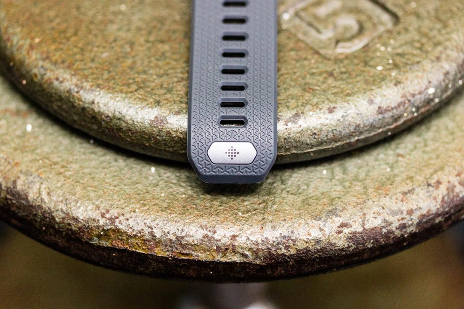 The strap that ships with the Ionic has an SpO2 sensor, which currently lies dormant, waiting for the right time to awaken.