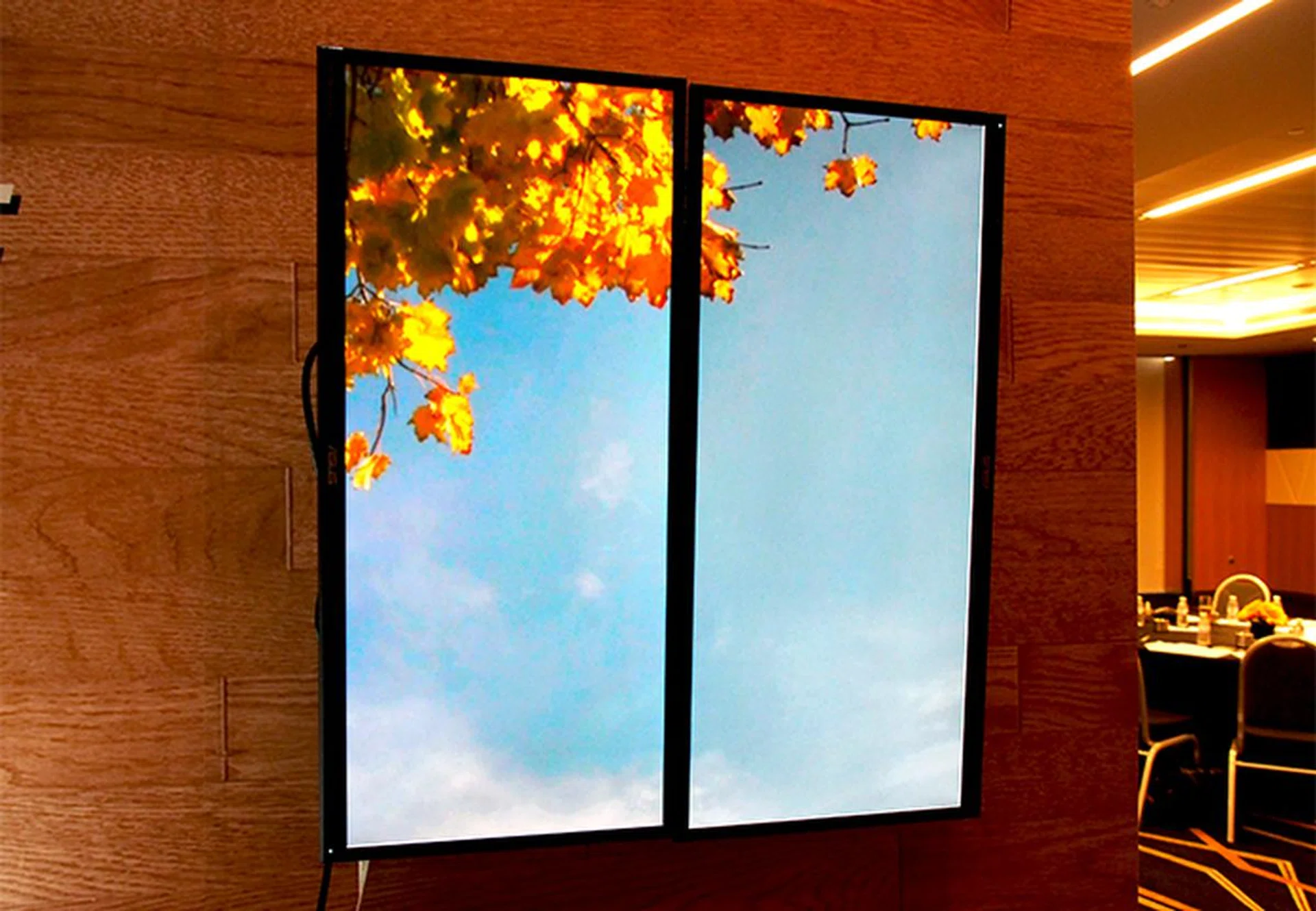 Two ASUS PB298Q monitors in portrait mode. Notice how tall they are.