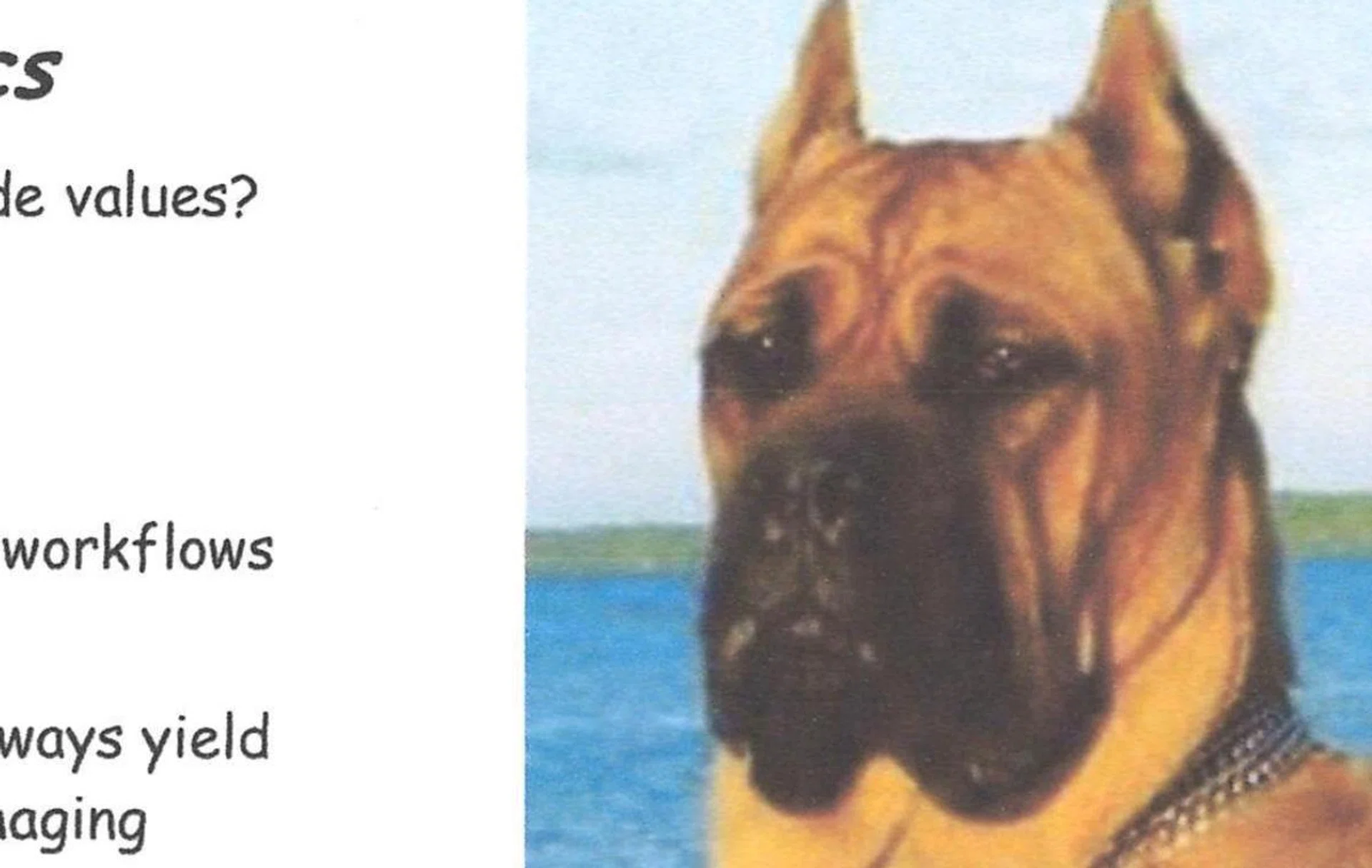 Close-up scan of its colour image print capability.