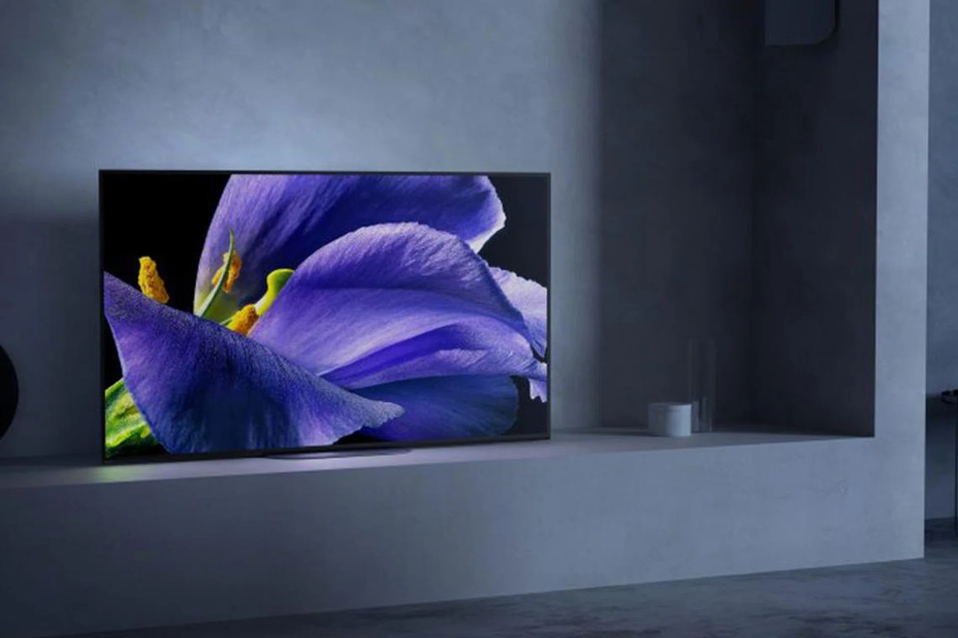 (Image: Sony.)