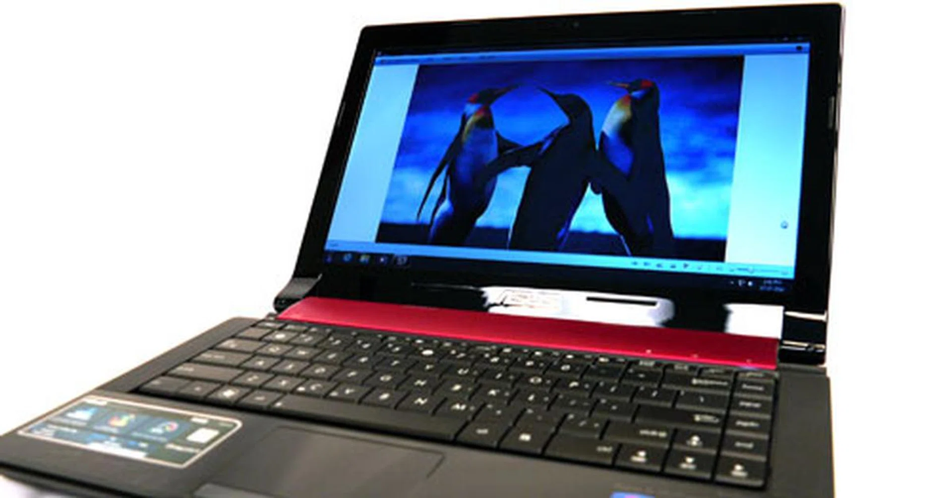 The LCD panel has the capacity for bright and vivid images. On the other hand, the LED-backlit display's tight vertical viewing angle also makes it highly susceptible to contrast and color shifts.
