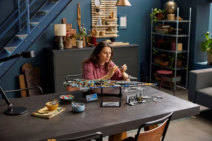 LEGO System core and Technic outriggers
