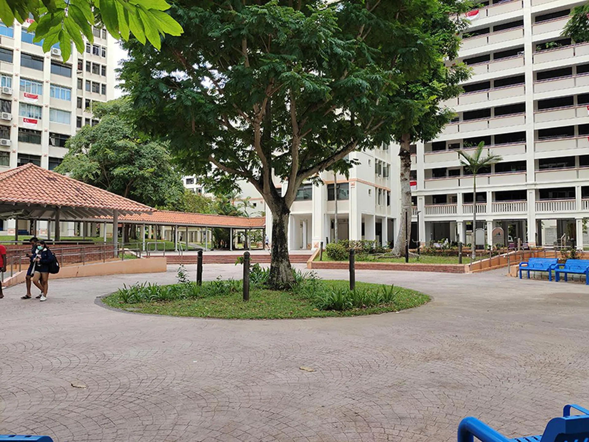 Main camera, no zoom.