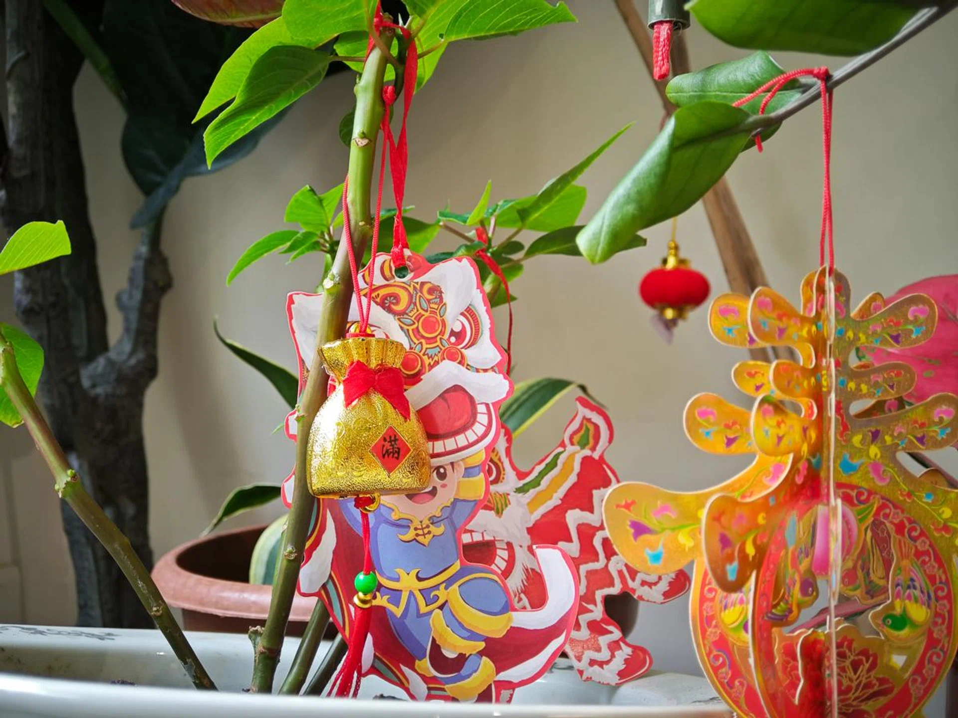 2x optical zoom. Photo: HWZ.