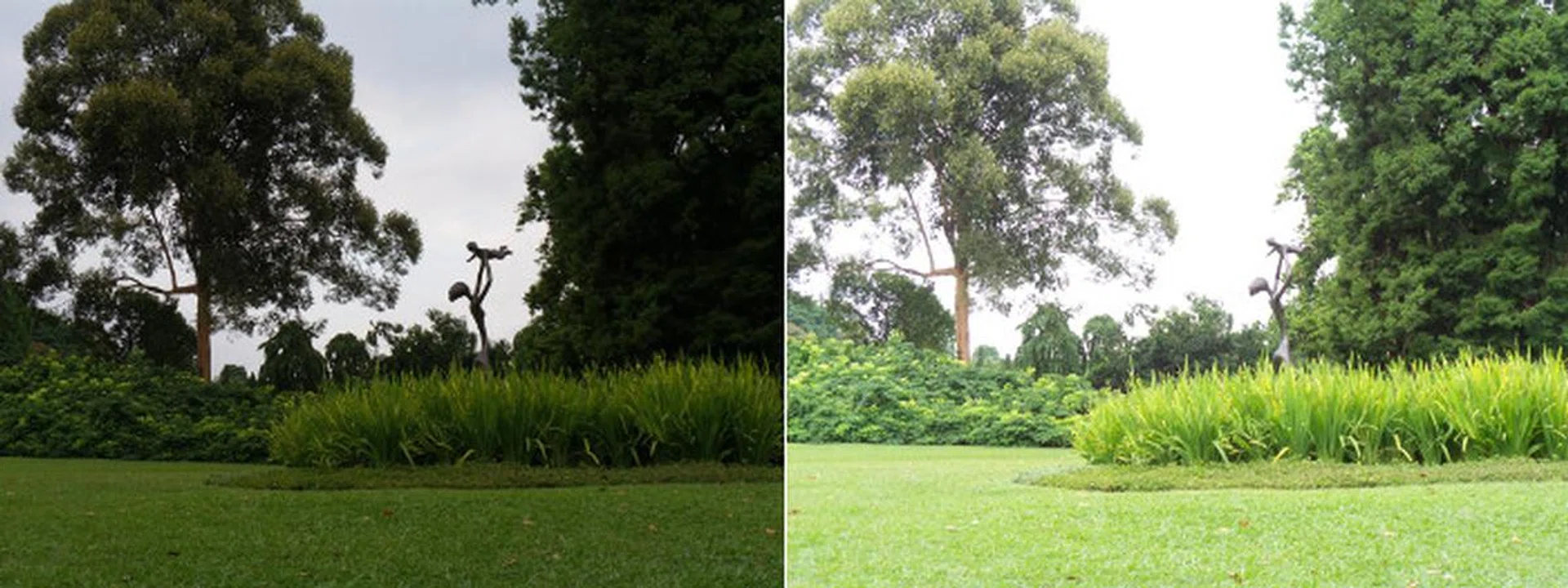 Both images were shot one after the other, with the same settings, except that we set a different exposure area for the image on the right, which explains the brighter exposure.
Due to bright sunlight, when shot fully on Auto mode, the camera will underexpose the image, which results in the image on the left. The ability to set the exposure and focus independently is very helpful for situations like this.