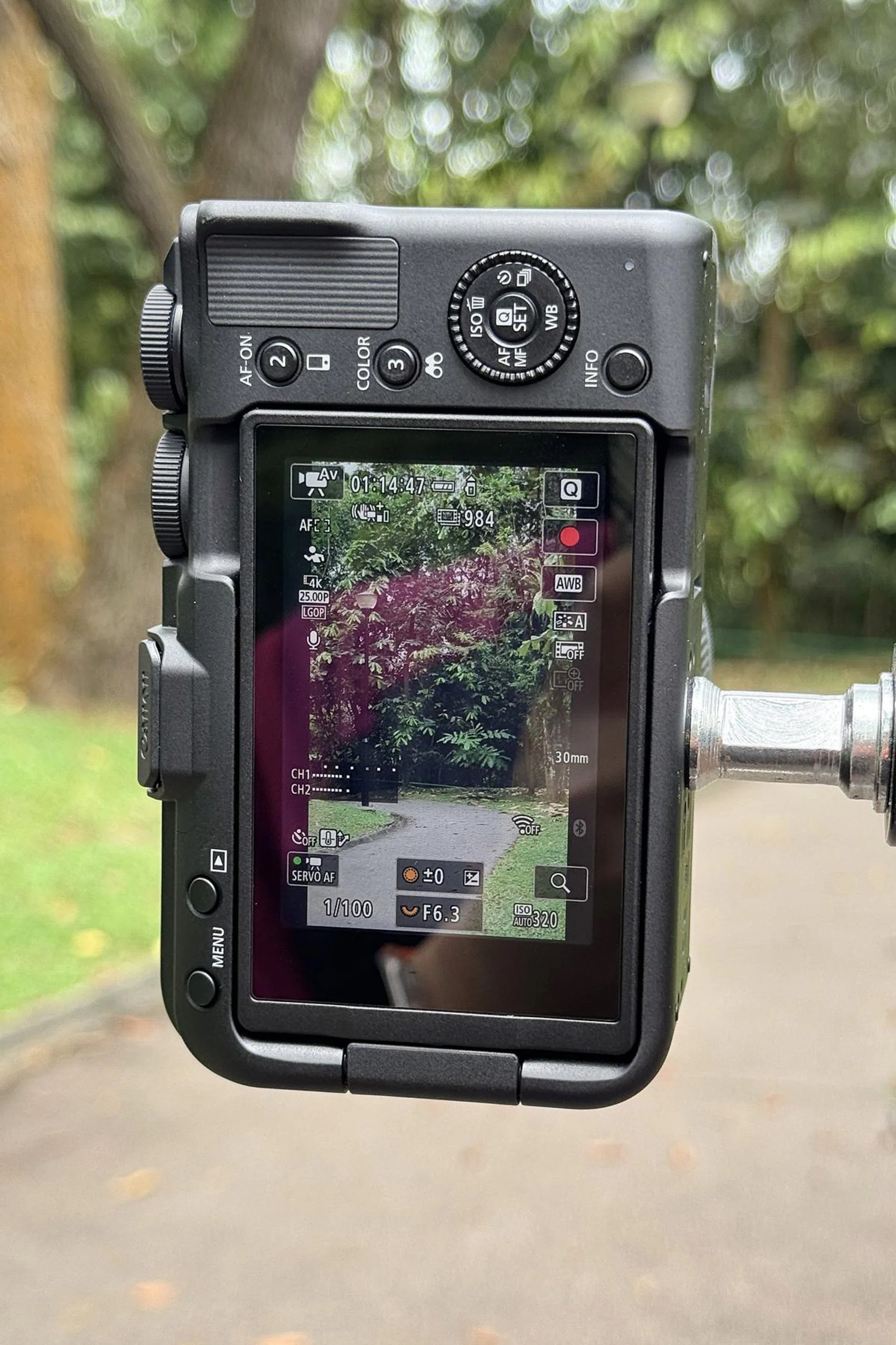 Canon R50 V’s display settings will turn into vertical mode in portrait orientation. Photo: HWZ
