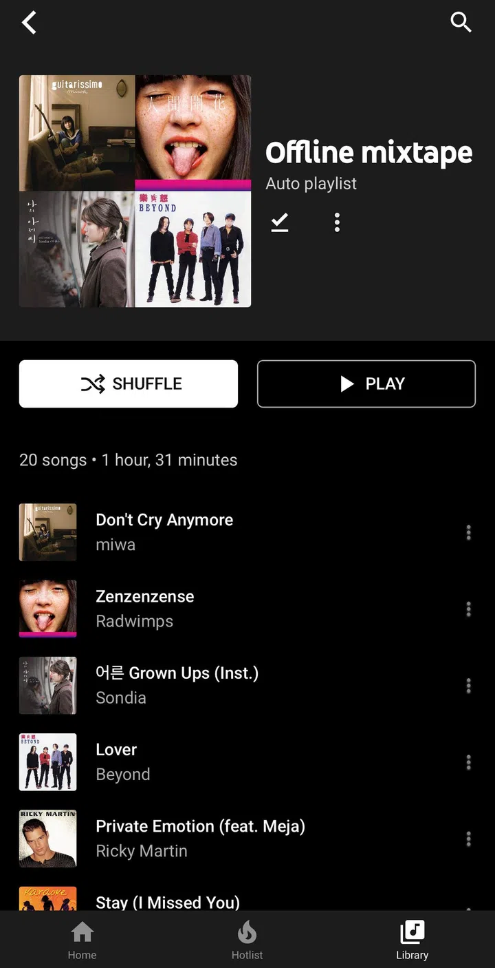 YouTube Music Premium's Offline Mixtape automatically download new tracks based on your playlist to keep things fresh.