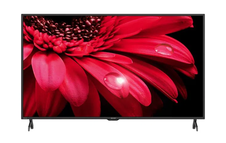 The 65-inch model. Image source: Sharp.