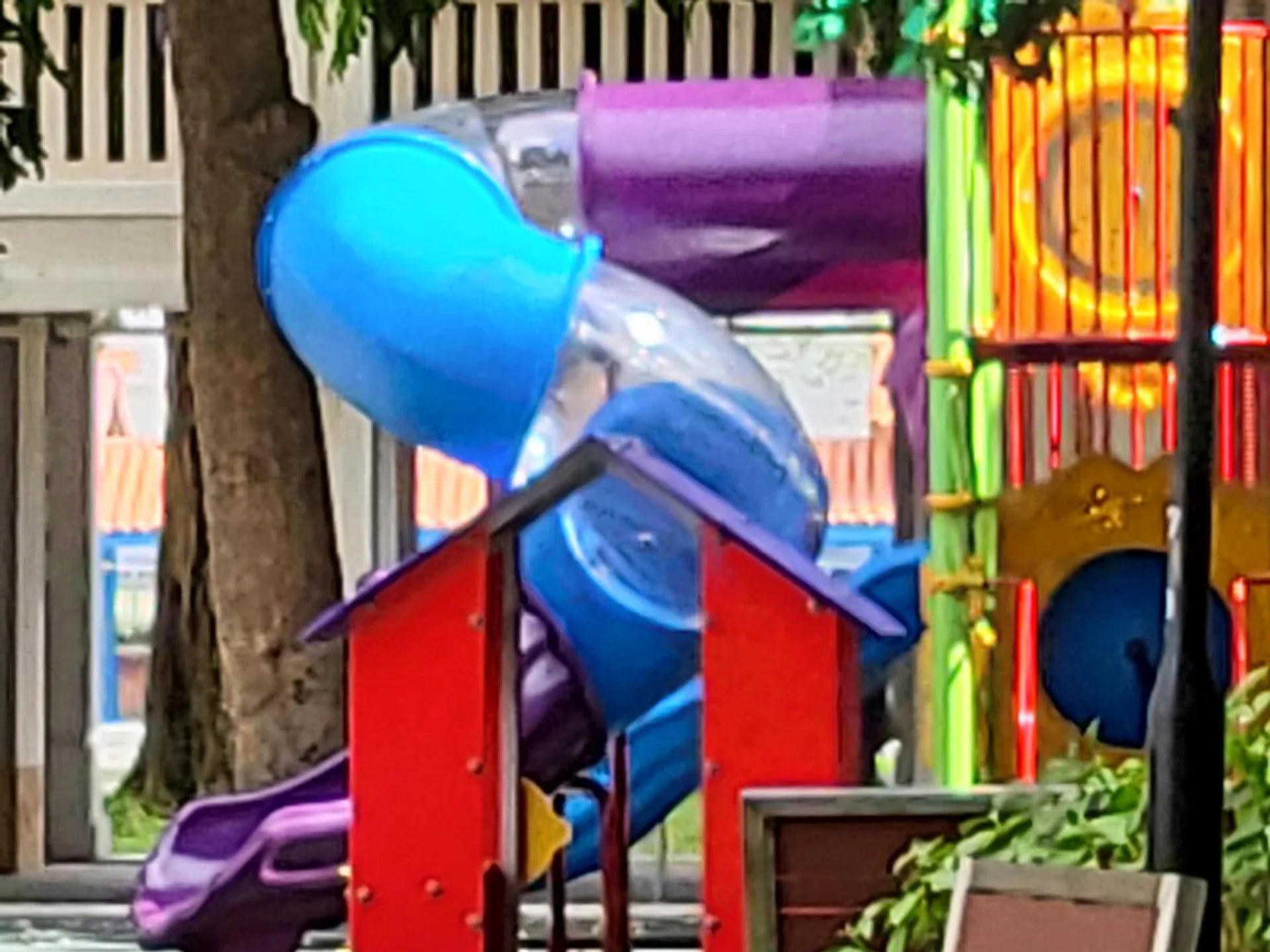 Main camera 10x zoom (max).