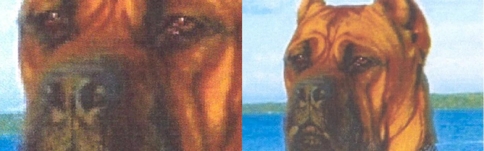 Close-up scan of its colour image print capability.