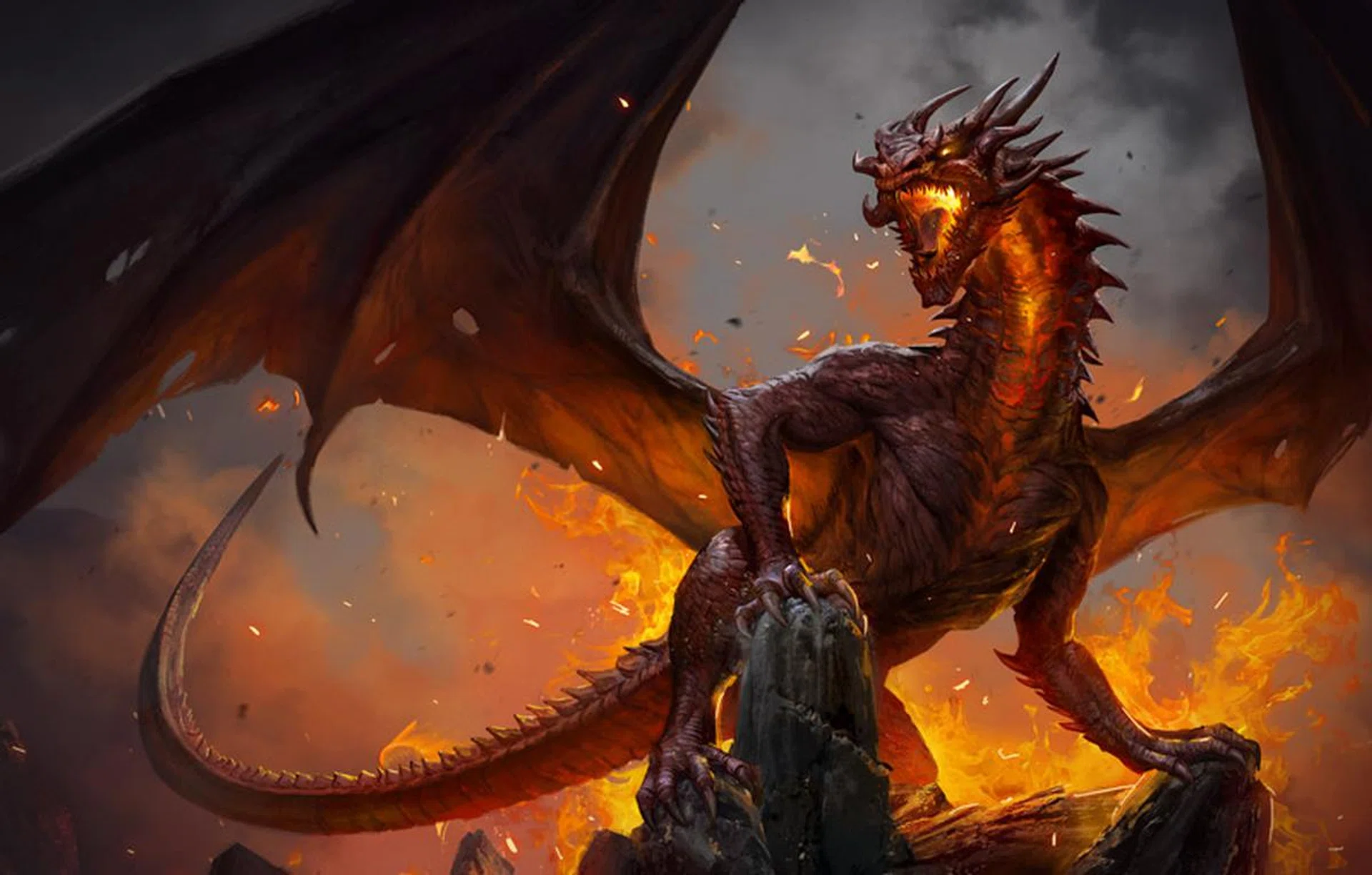 Image: 1C Entertainment