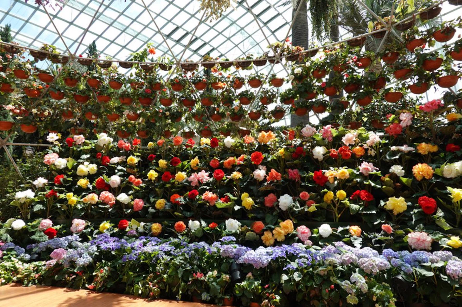 24mm at f/4.0, 1/200s, ISO 125