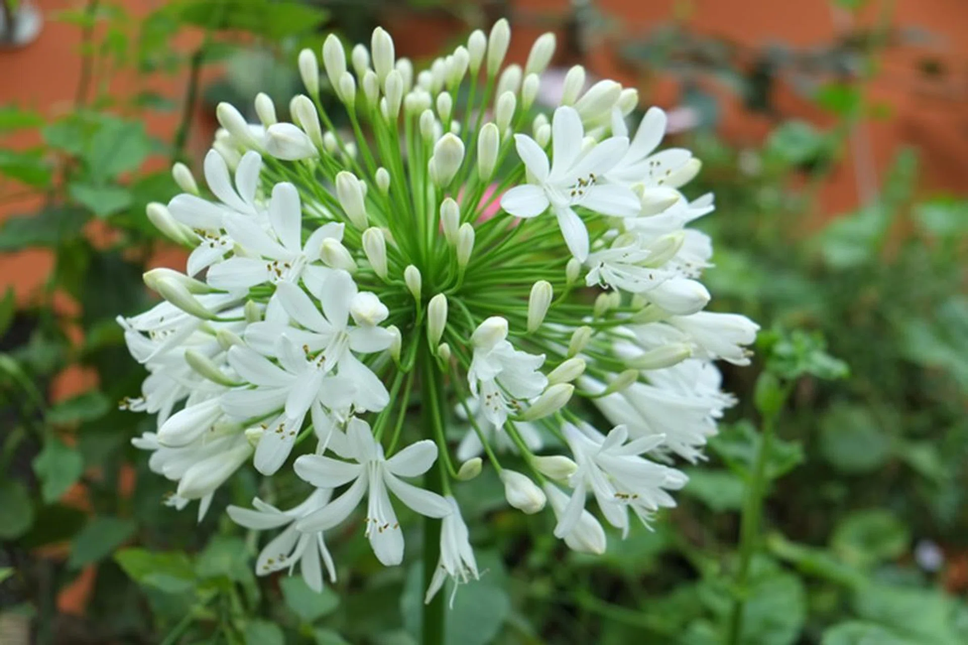 f/3.6 at 56mm (35mm equivalent), 1/140 sec, ISO 200.