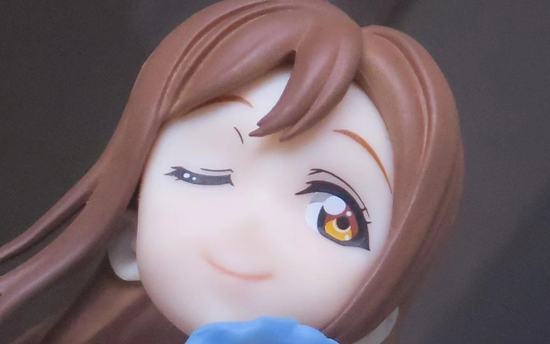 100% Crop. (Sample shot as captured by the PICK.)