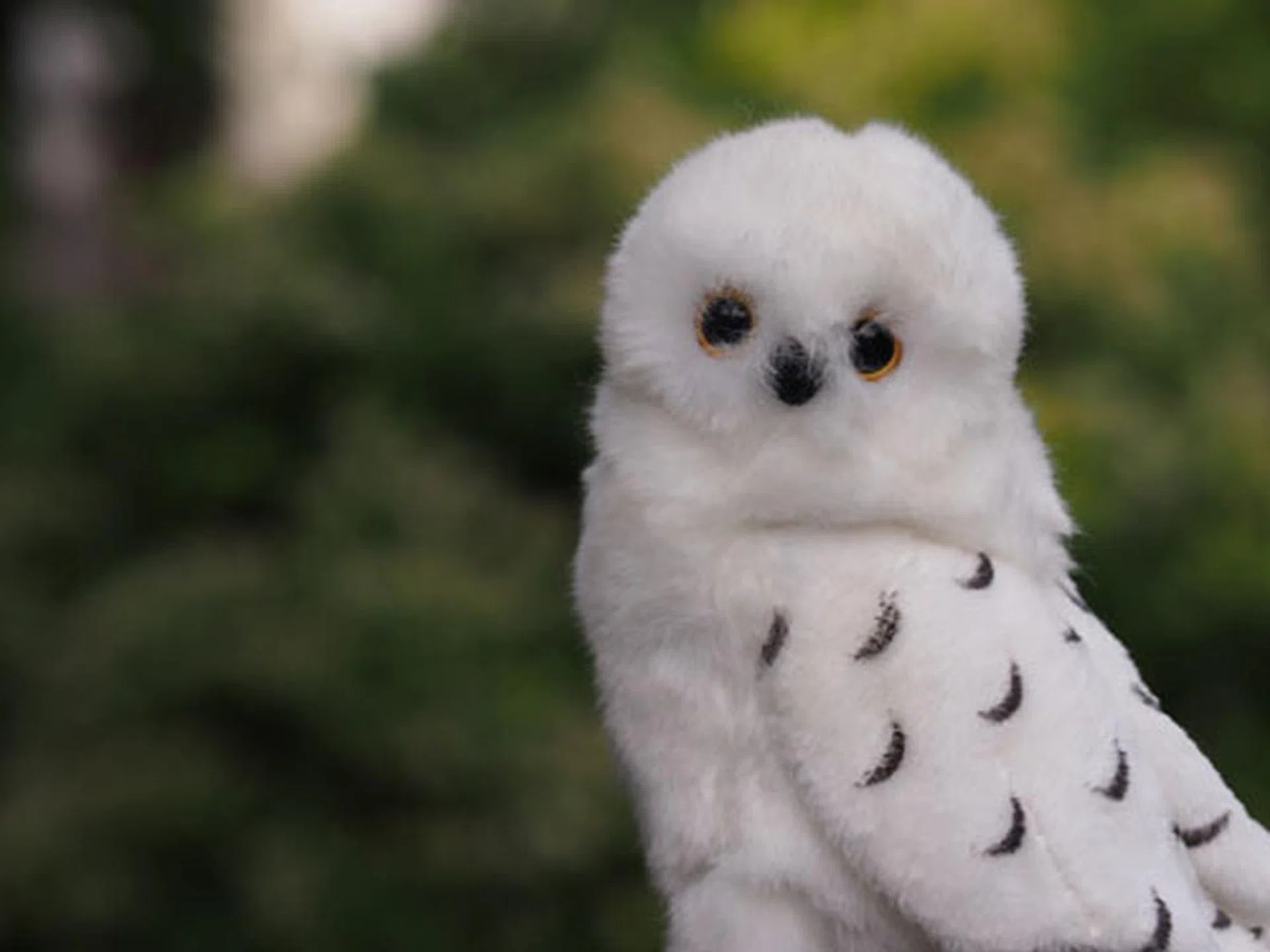 f/4.0 at 90mm (35mm equivalent).