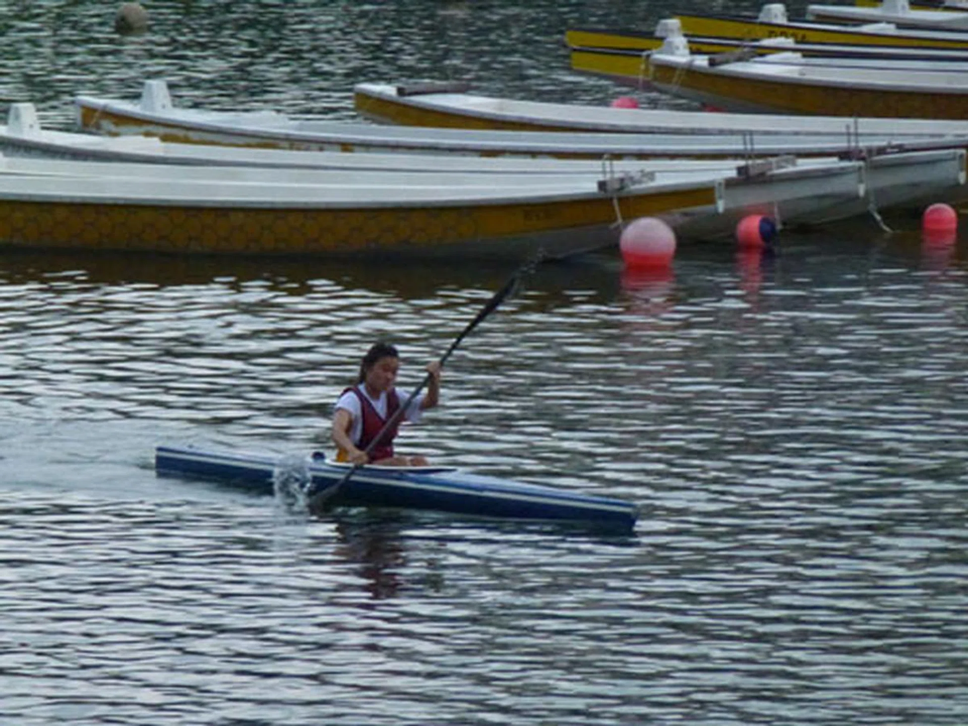 f/5.9 at 438mm, 1/60 sec, ISO800.