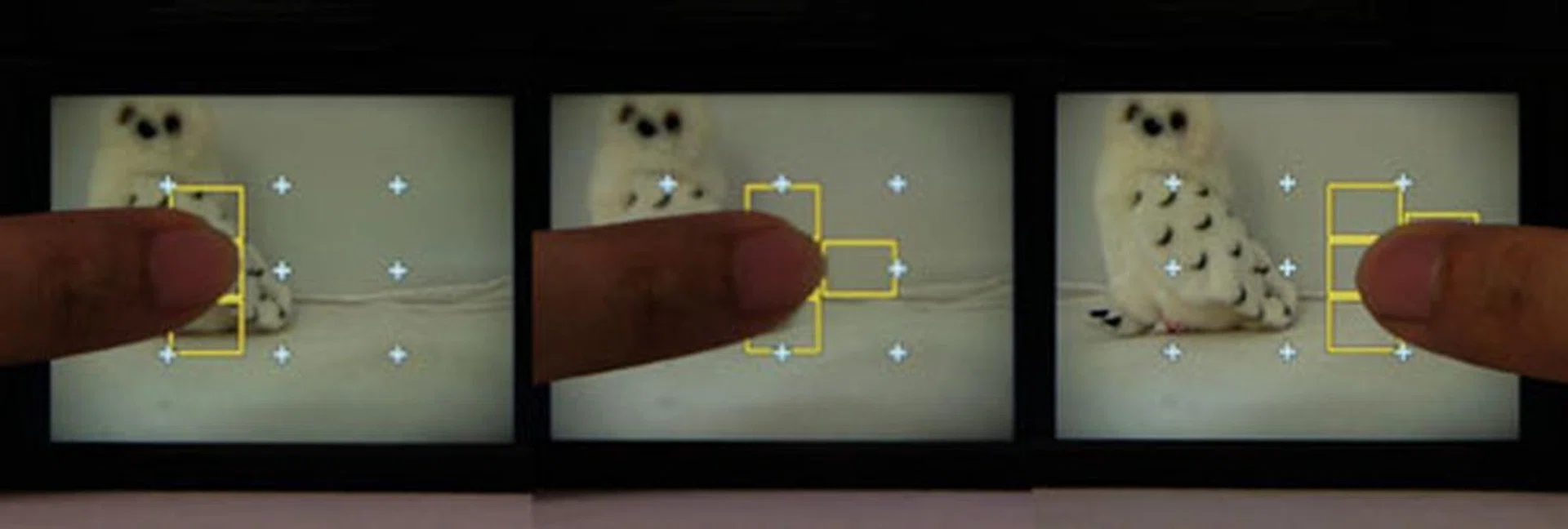 Touch focus is another favorite, simply tap on the screen to dictate where you want the focal point to be.