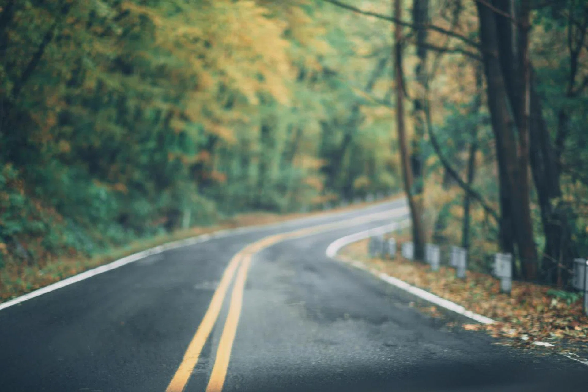 The road ahead