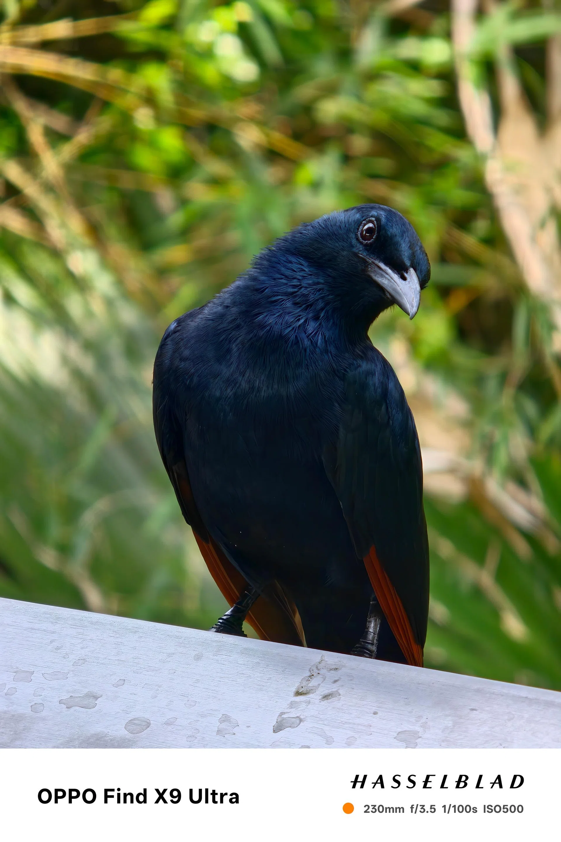 OPPO Find X9 Ultra review