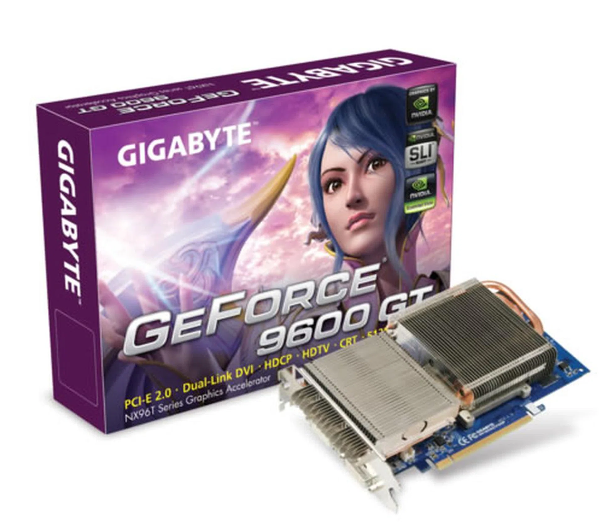 We didn't get the retail package but here's the product image from Gigabyte's website.