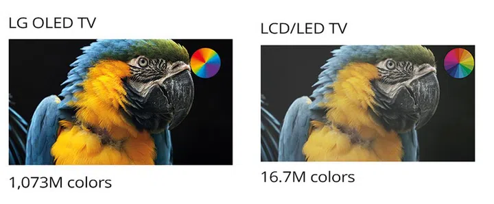 A richer palette with billions of colors (left) lets the LG OLED TV produce an impressive range of lush colors compared to a range of 16.7 million colors (right).