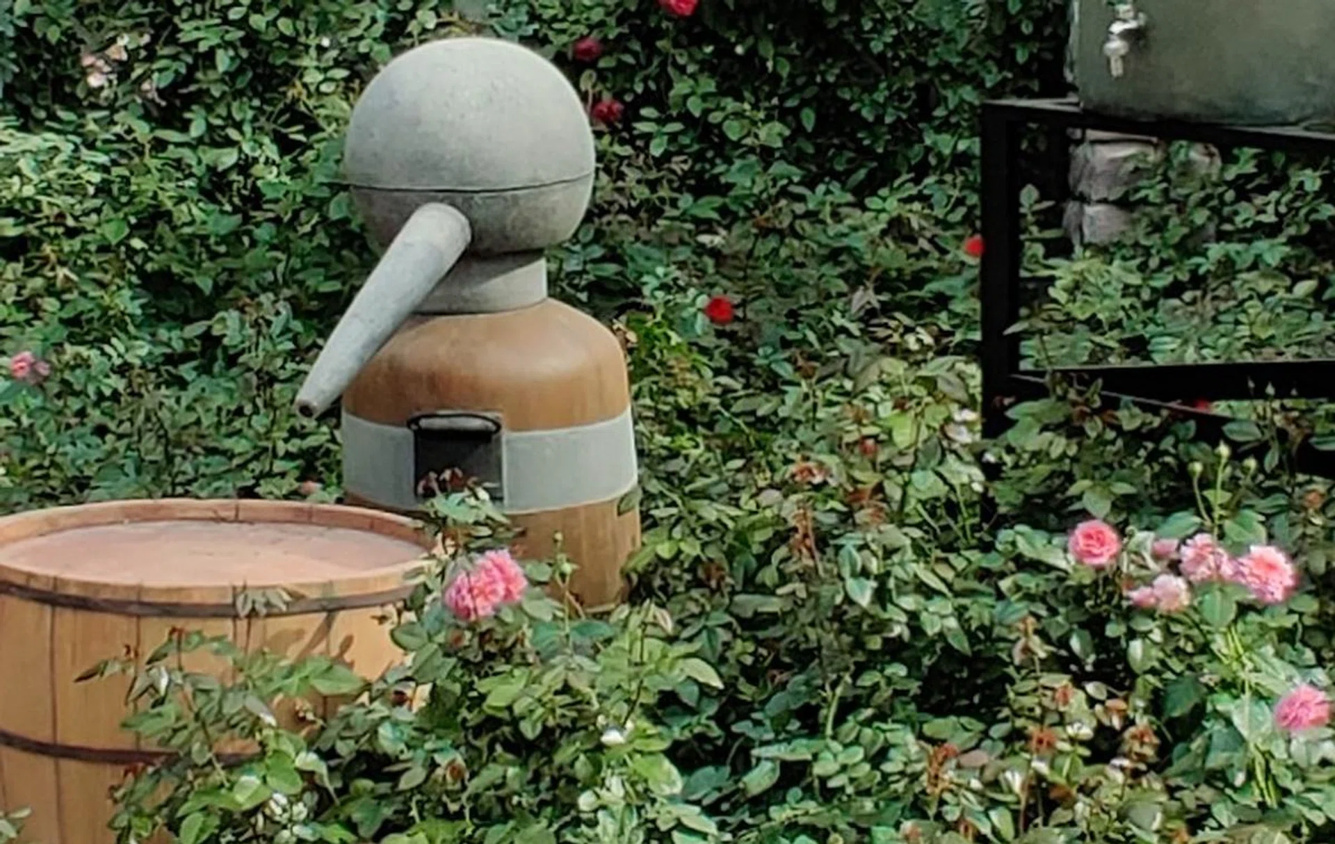 OnePlus7 Pro - 100% crop at the center of ultra-wide shot.