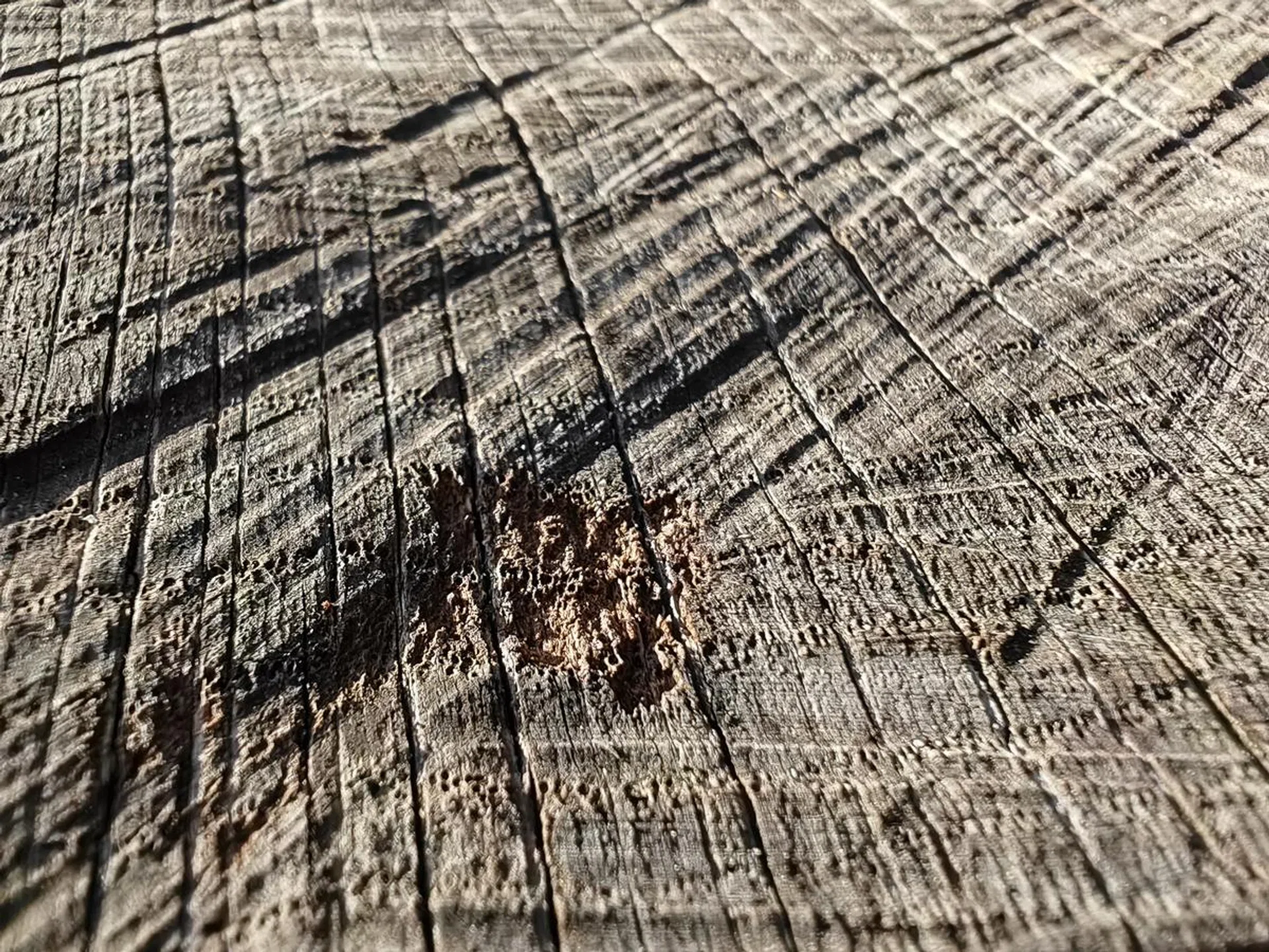 Super macro mode.