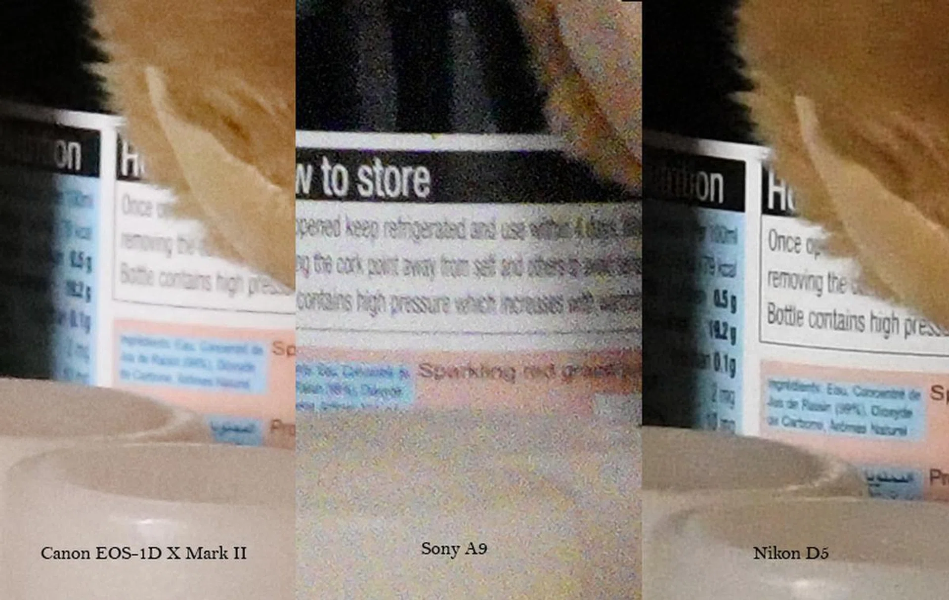 Images captured at ISO25,600 (100% crops)