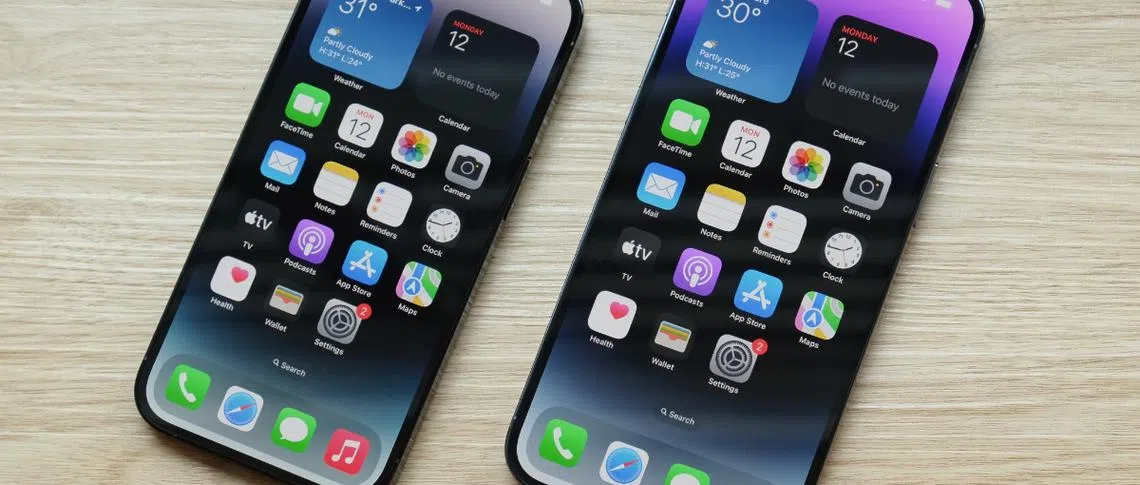 【ホアン】Apple 14 iPhone Max Pro