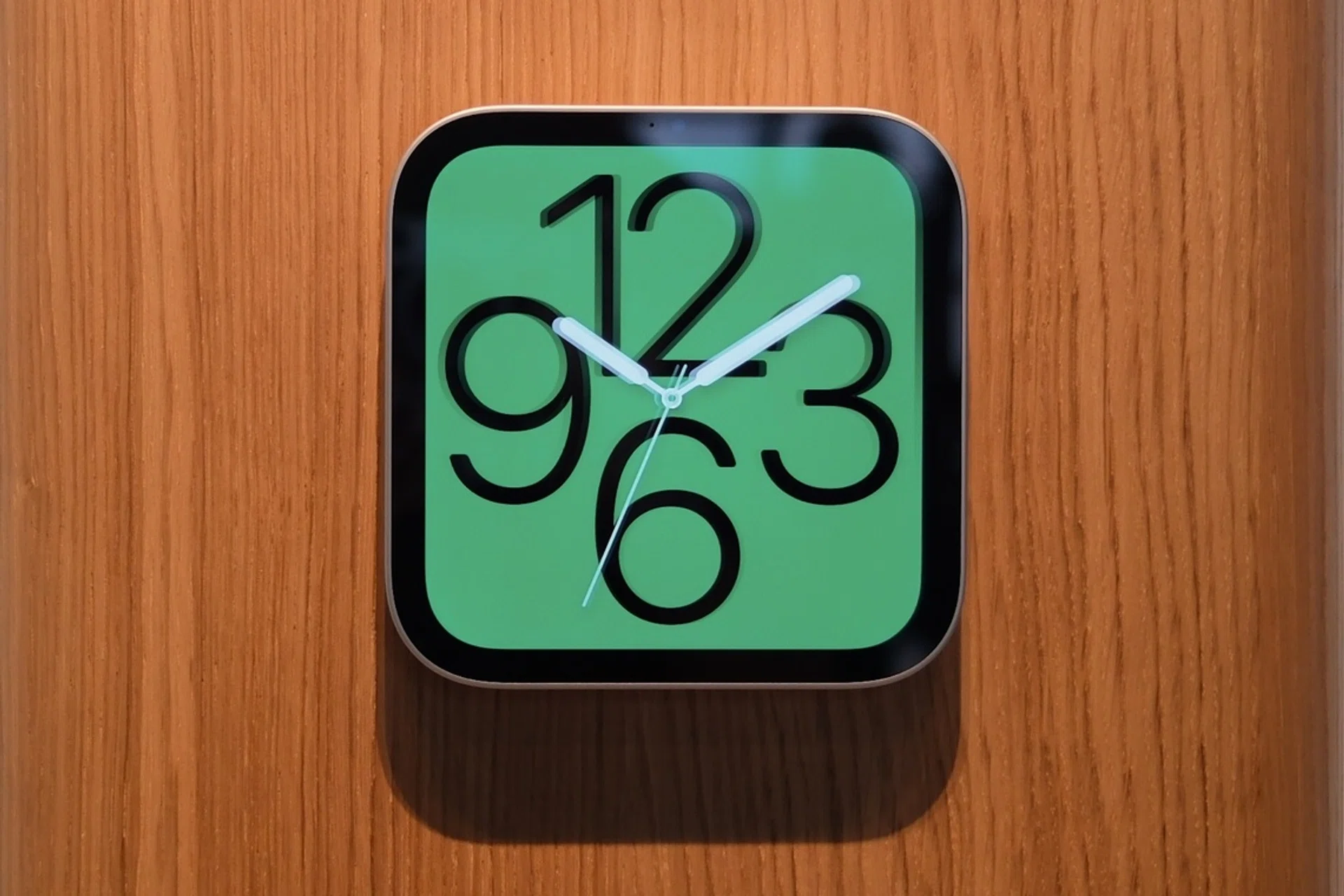 Apple HomeView wall-mounted