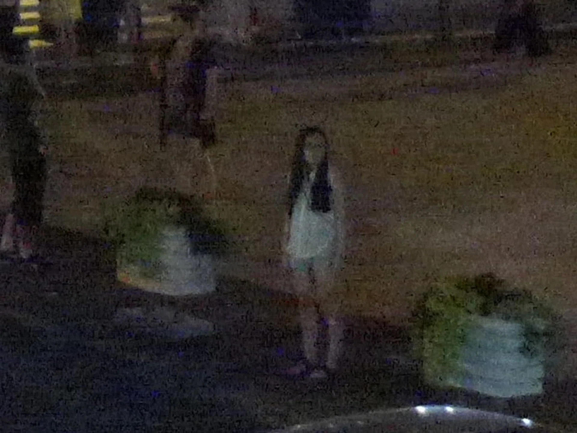 100% crop. f/1.7 at 40mm, 1/30 sec, ISO3200.