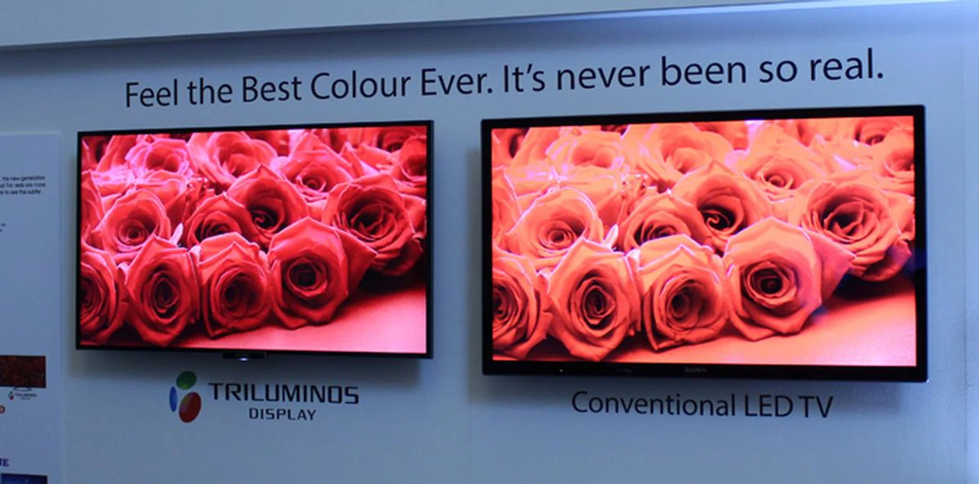 Here is an unedited shot of the difference Triluminos technology makes. On the left we have the W954A (with Triluminos) and the excellent Sony HX855 on the right. The picture settings for both TVs are identical. 