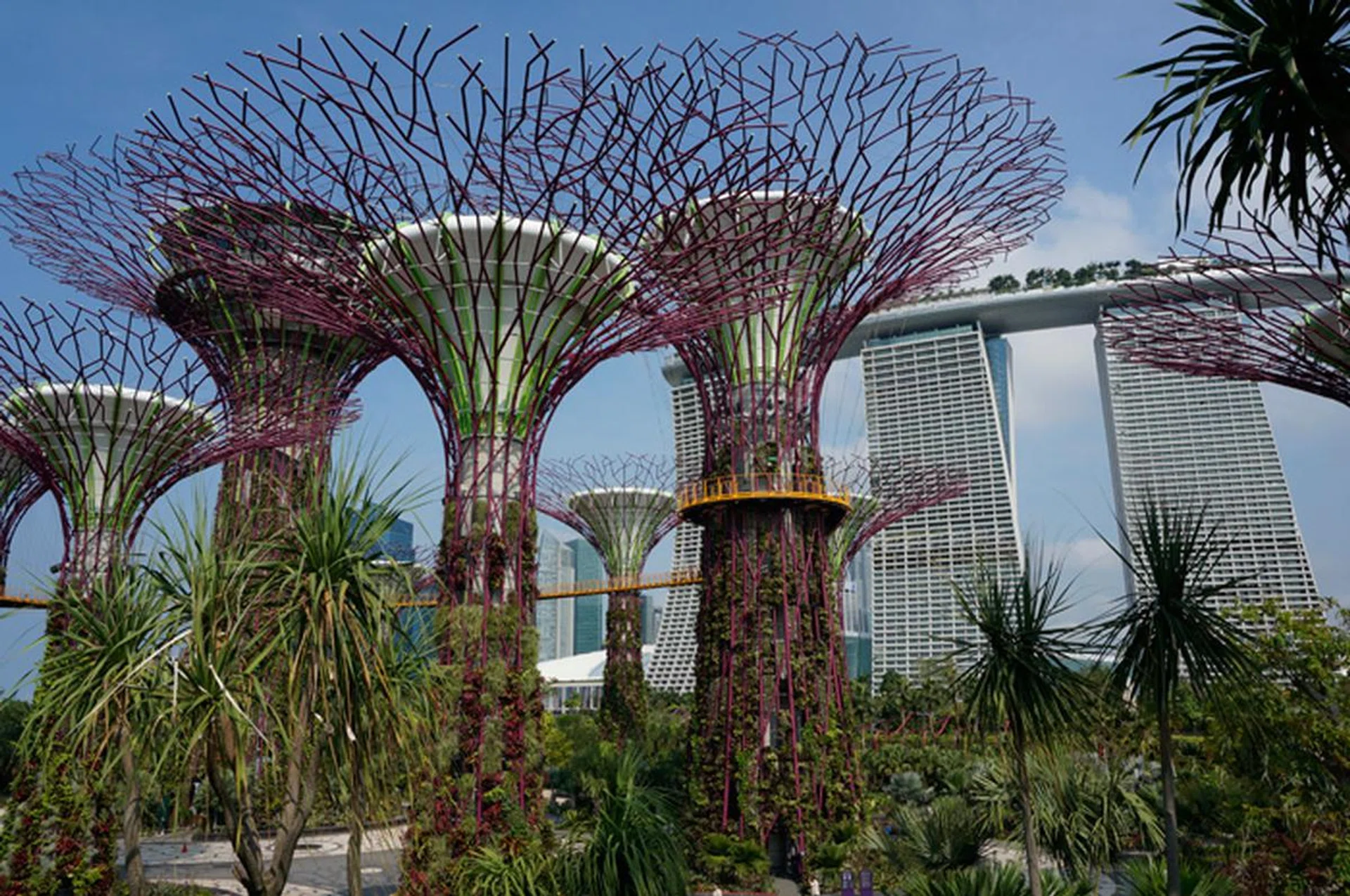 f/9 at 27mm, 1/250 sec, ISO 100.