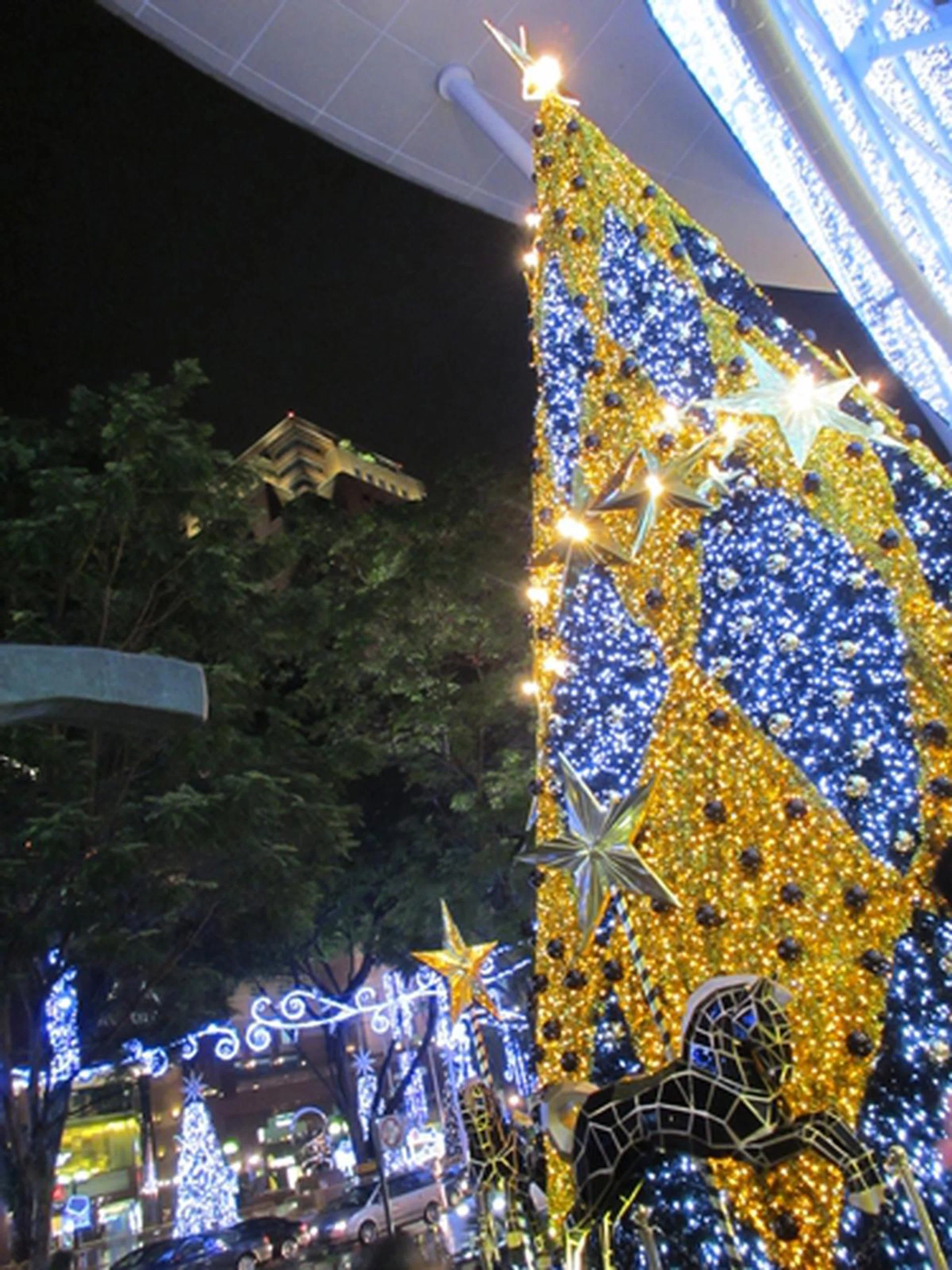 f3.4 at 5mm (35mm equivalent), 1/20 sec shutter speed, ISO 1000.