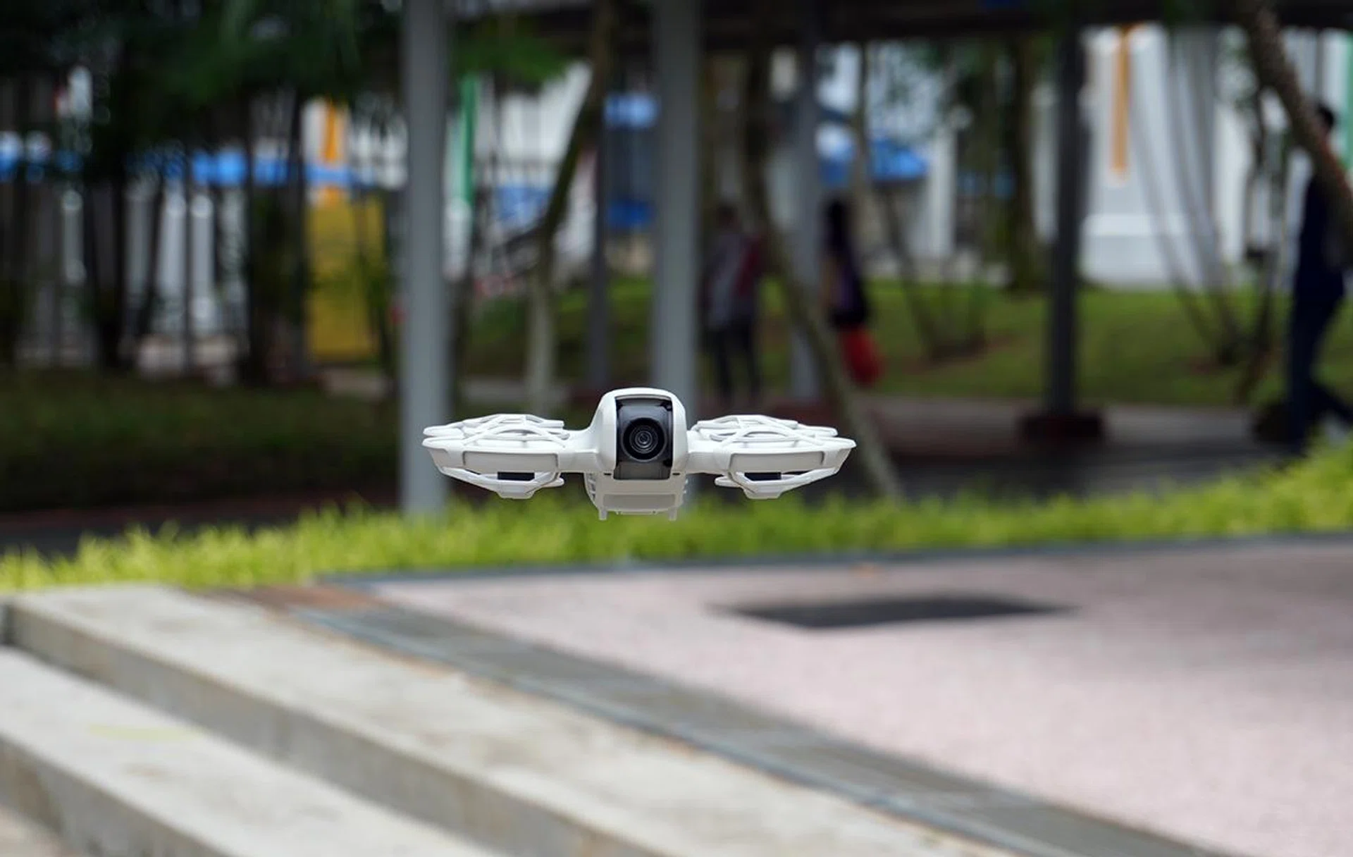 Small yet mighty. Photo: HWZ