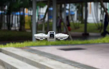 Small yet mighty. Photo: HWZ