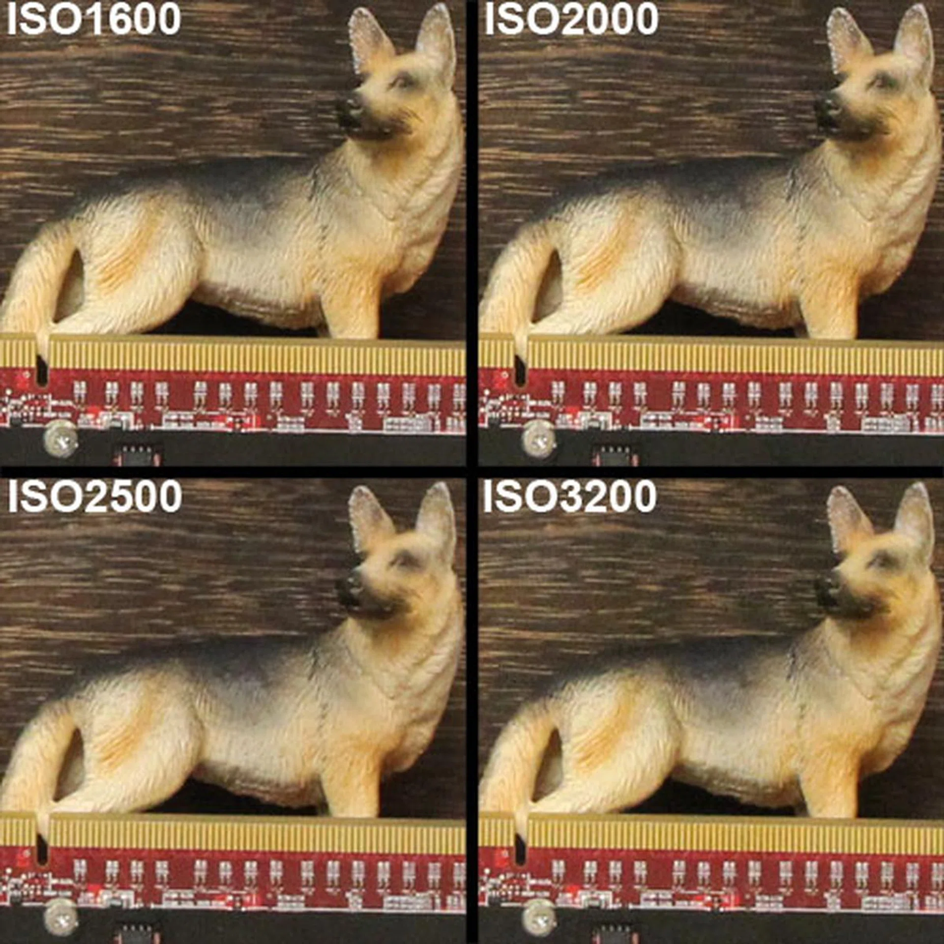 Click for higher resolution image.