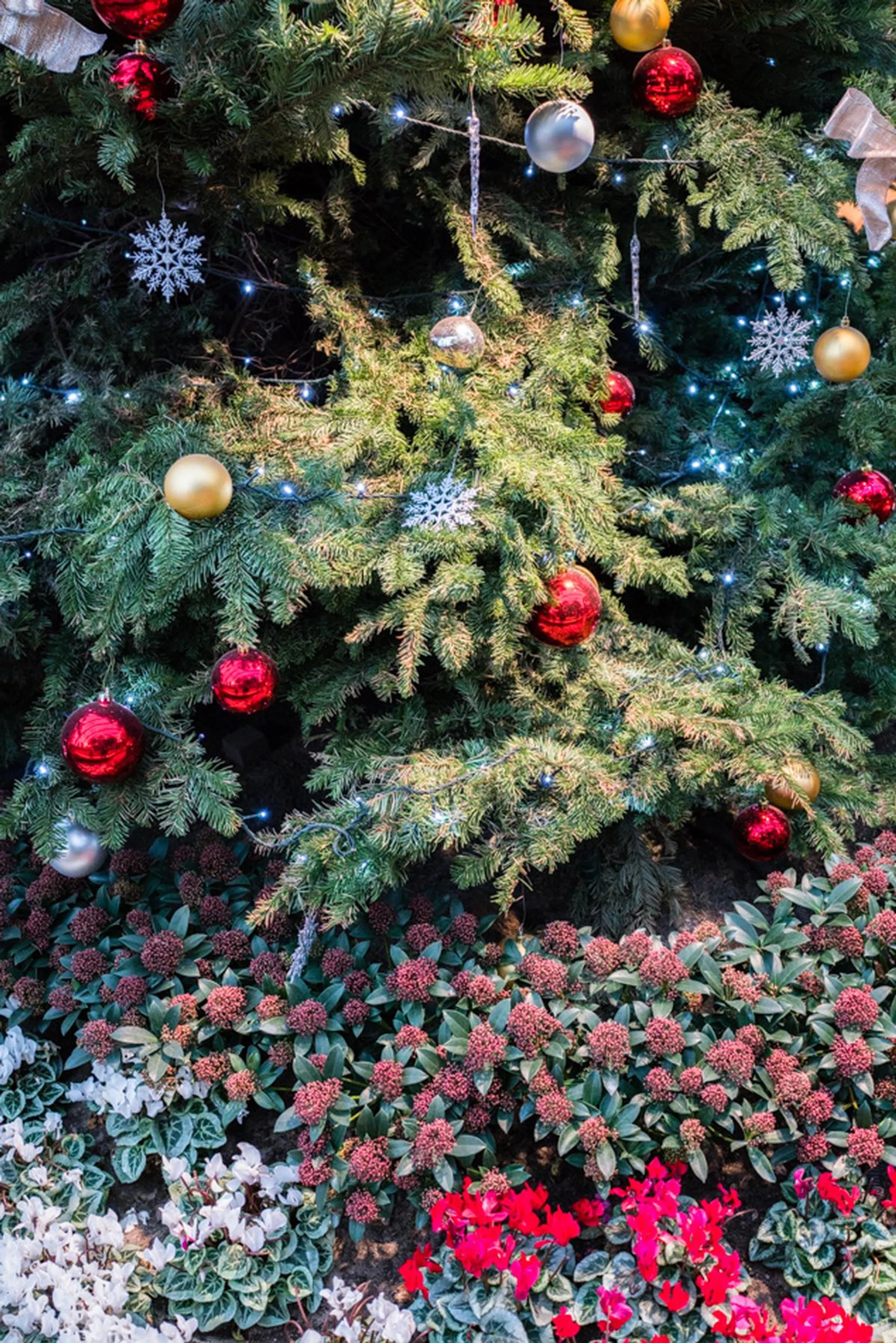 The RX1R II retains an amazing amount of clean detail, even at high ISOs. f/4 at 35mm, 1/100 sec, ISO 4000.