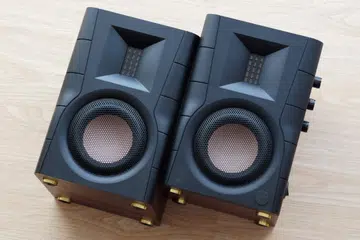 The D100 is one of Swans' most affordable speakers.