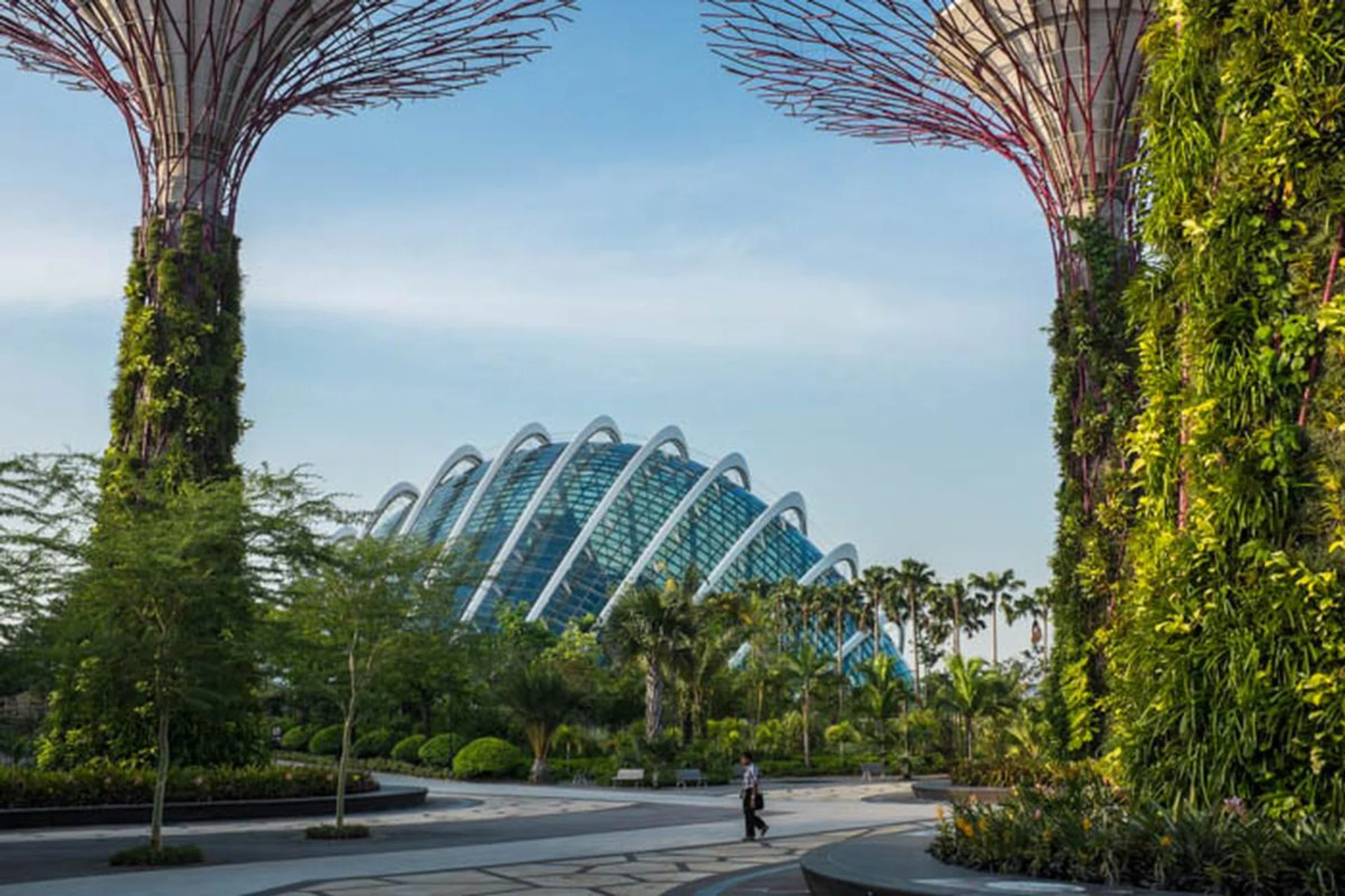 X100S, f/11 at 35mm, 1/80 sec, ISO200.