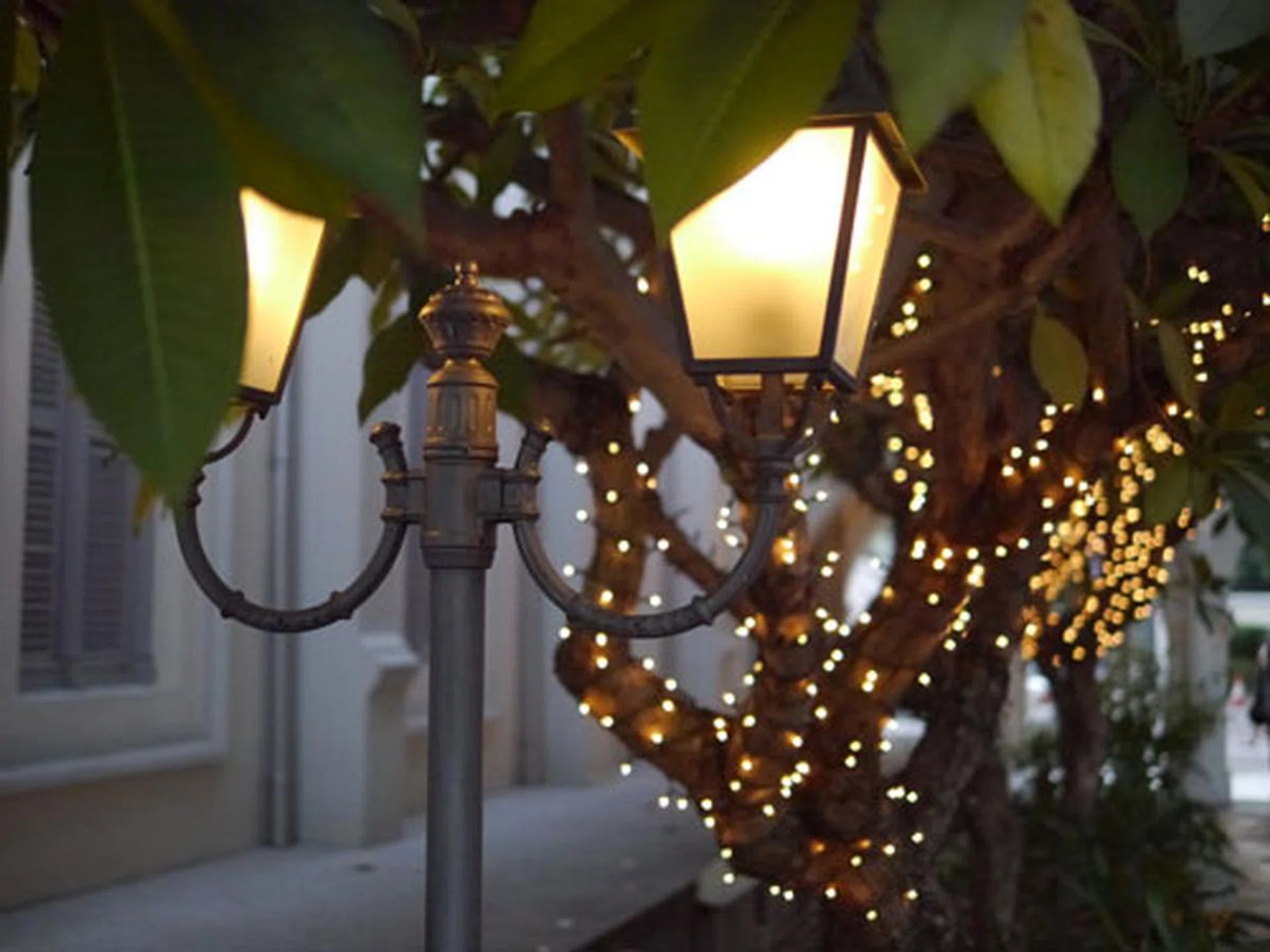 f/1.4 at 50mm (35mm equivalent), 1/1300 sec, ISO3200.