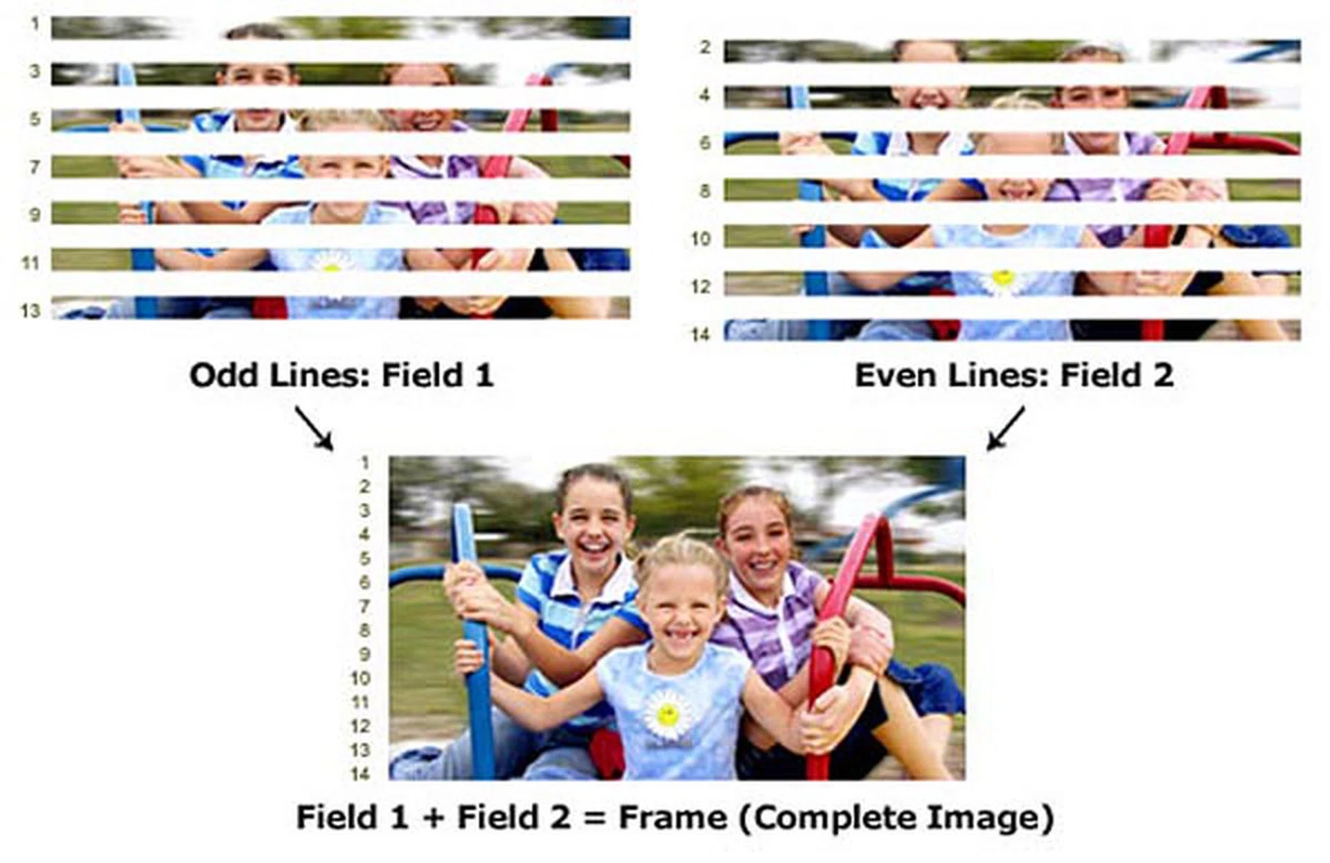 Simply put, interlaced scanning uses two fields to create a single frame:- one field for the odd lines and the other for even lines.