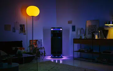 Sony Ult Tower 10.