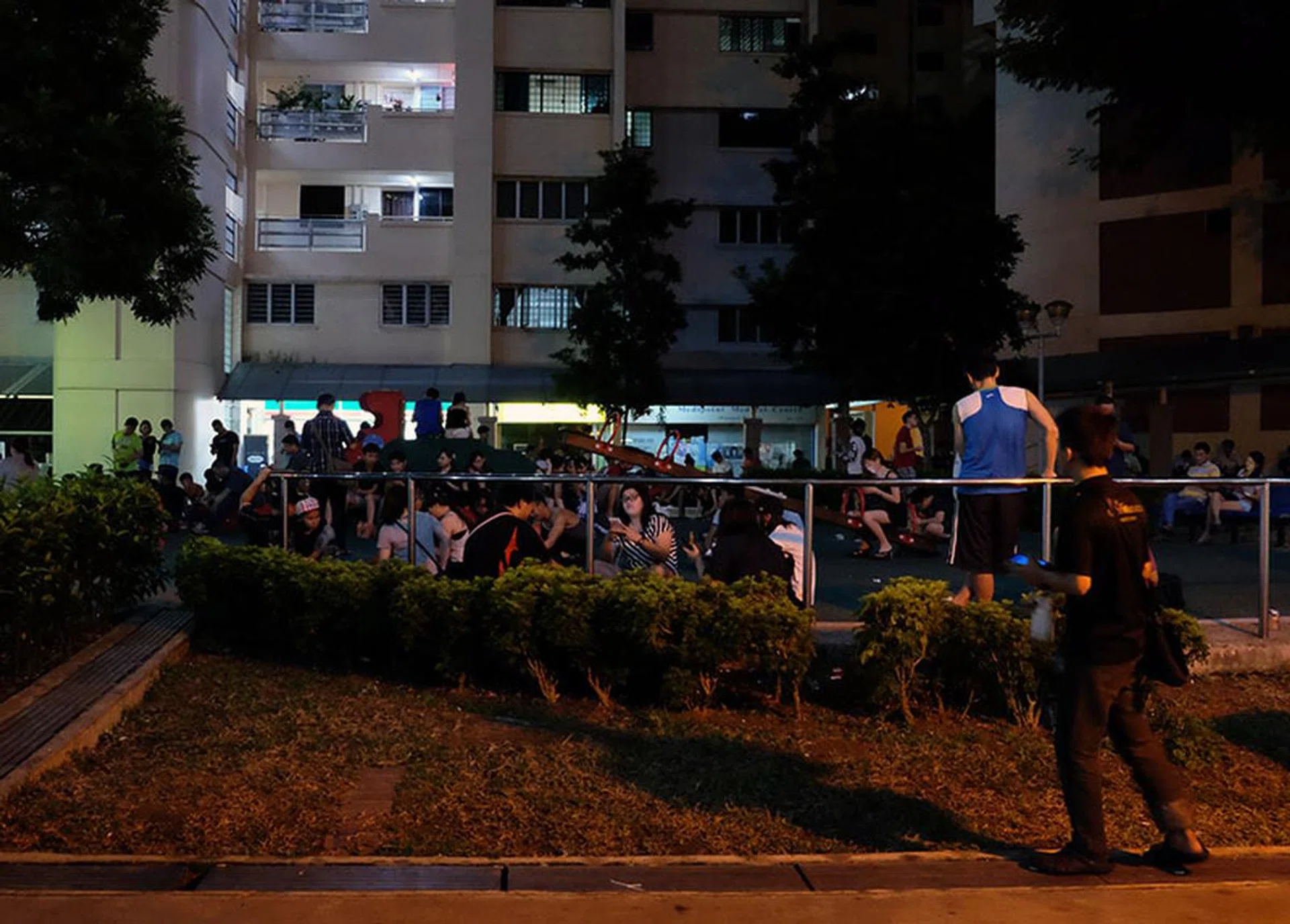 Sleep is for the weak. Gotta catch them all!