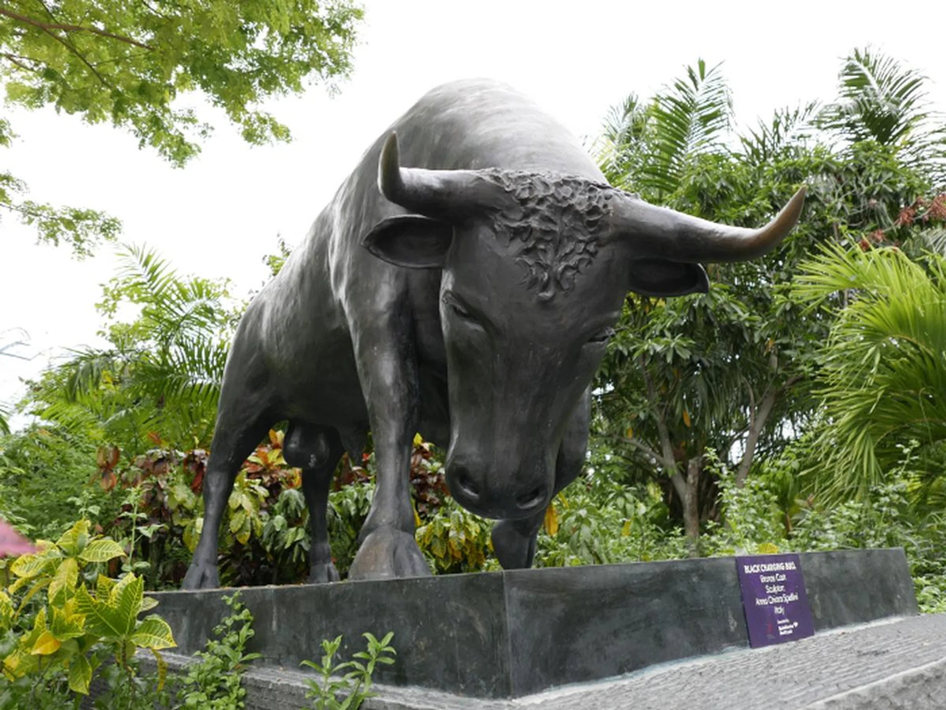 f/1.7 at 24mm, 1/2000 sec, ISO500