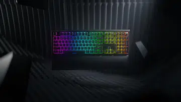 Image: Razer
