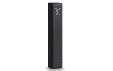 (Image source: Louis Vuitton.)